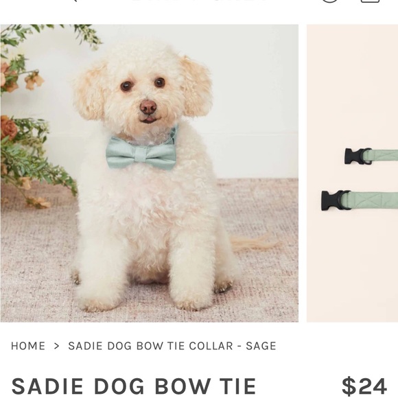NWT SADIE DOG BOW TIE COLLAR color sage M/L - Picture 2 of 4